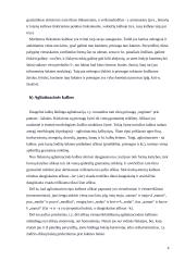 Tipologinė kalbų klasifikacija 4 puslapis