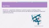 Baltymai - pagrindinė statybinė ir plastinė ląstelių medžiaga 2 puslapis