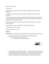 Reakcijos ir judesių dažnio tyrimas 2 puslapis