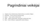 ,,Gimęs bėgti” knygos pristatymas 3 puslapis