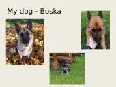 About myself (anglų skaidrės) 6 puslapis