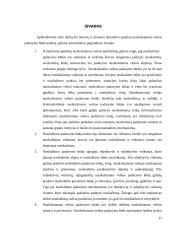 Nusikalstamos veikos padarymo būdas 17 puslapis