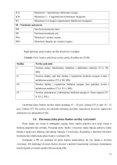 Kalių ir kačių pieno liaukos navikai ir jų chirurginis gydymas  11 puslapis