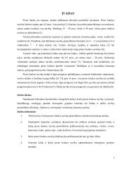 Kalių ir kačių pieno liaukos navikai ir jų chirurginis gydymas  7 puslapis