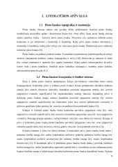 Kalių ir kačių pieno liaukos navikai ir jų chirurginis gydymas  8 puslapis