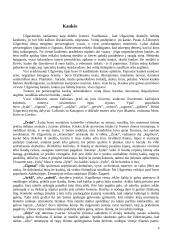 Užgavėnių Lietuvoje tradicijos 9 puslapis