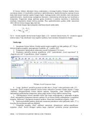 Šviesos sugerties tyrimas 5 puslapis