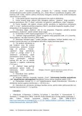 Šviesos sugerties tyrimas 6 puslapis