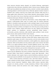 Esė supervizija 2 puslapis