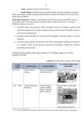 Socialinio darbo raida Lietuvoje 2 puslapis