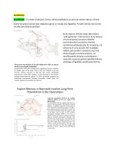 Neuromokslų kartojimas 13 puslapis