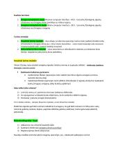 Neuromokslų kartojimas 3 puslapis