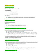 Neuromokslų kartojimas 4 puslapis