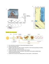 Neuromokslų kartojimas 6 puslapis