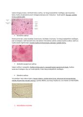 Gyvūno ir augalo audiniai 2 puslapis