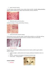 Gyvūno ir augalo audiniai 3 puslapis