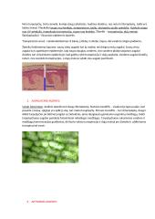 Gyvūno ir augalo audiniai 4 puslapis