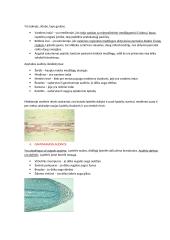 Gyvūno ir augalo audiniai 5 puslapis