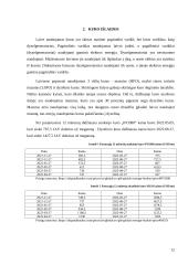 Laivo „Anderson Dragon“ kuro sąnaudų vertinimas  12 puslapis