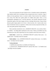 Laivo „Anderson Dragon“ kuro sąnaudų vertinimas  3 puslapis