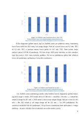 Laivo „Anderson Dragon“ kuro sąnaudų vertinimas  8 puslapis