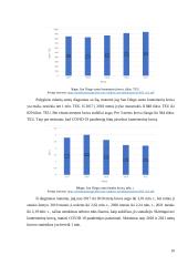 Laivo „Anderson Dragon“ kuro sąnaudų vertinimas  10 puslapis