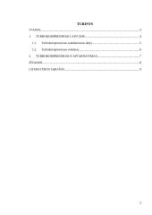 Turbokompresoriai laivuose 2 puslapis