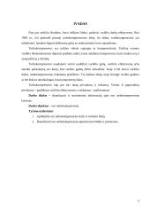 Turbokompresoriai laivuose 3 puslapis