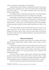 Vestuvės ir šeima 4 puslapis