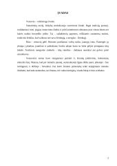 Lietuvių vestuvių papročiai 2 puslapis