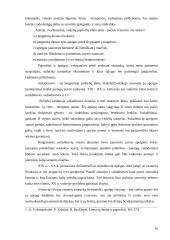 Lietuvių vestuvių papročiai 10 puslapis