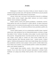 Vestuvės Lietuvoje 15 puslapis