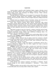 Vestuvės Lietuvoje 3 puslapis