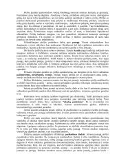 Vestuvės Lietuvoje 4 puslapis
