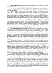 Vestuvės Lietuvoje 10 puslapis
