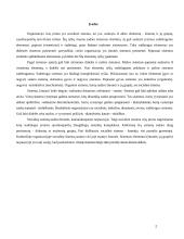 Organizacija kaip socialinė sistema 2 puslapis
