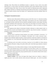 Organizacija kaip socialinė sistema 12 puslapis