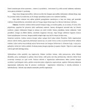 Organizacija kaip socialinė sistema 13 puslapis