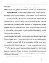 Organizacija kaip socialinė sistema 8 puslapis