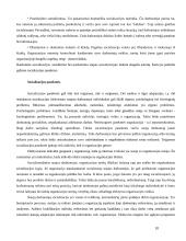 Organizacija kaip socialinė sistema 10 puslapis