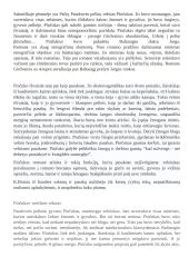 Apie Pinčiuką