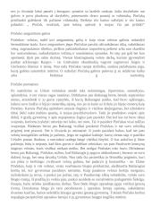 Apie Pinčiuką 2 puslapis