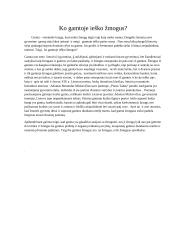 Ko gamtoje ieško žmogus? (Mickevičius)