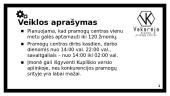 Projektas - Verslo planas 4 puslapis