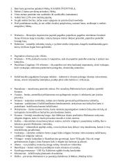 Viduramžių konspektas (datos ir sąvokos) 2 puslapis