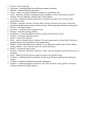 Viduramžių konspektas (datos ir sąvokos) 3 puslapis