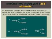 Daiktavardžių kirčiavimas 4 puslapis