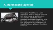 A. Baranausko asmenybė ir darbai 4 puslapis
