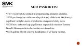 Specialiosios skolinimosi teisės (SDR) valiuta 4 puslapis