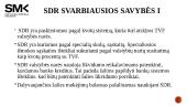 Specialiosios skolinimosi teisės (SDR) valiuta 6 puslapis